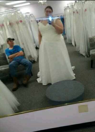 Ball gown and Cathedral length veil?