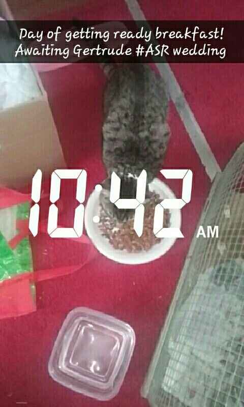 ASR wedding day/ BAB