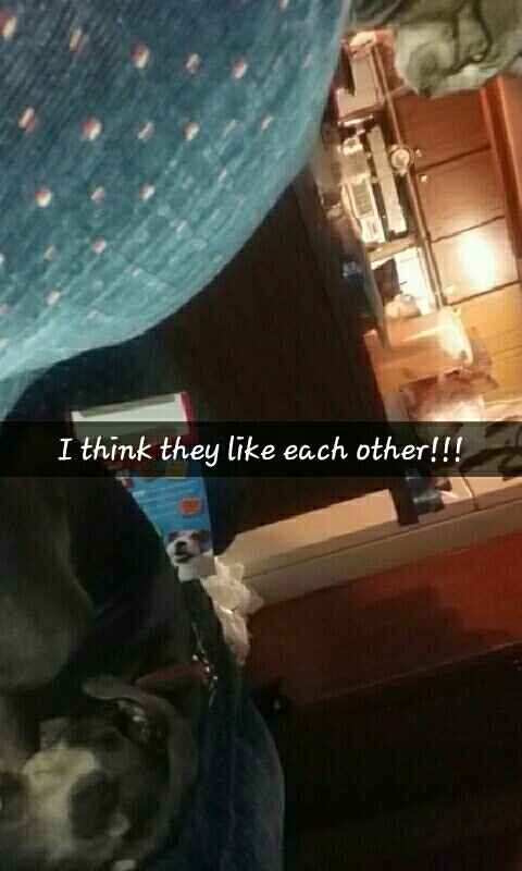 NWR addition to the family?