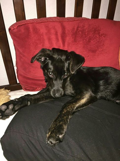 Whose helping you WW!?!