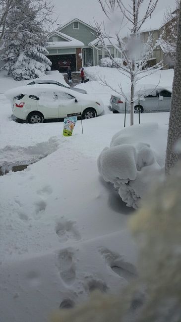 NWR: snow day!