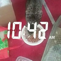 ASR wedding day/ BAB