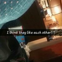 NWR addition to the family?