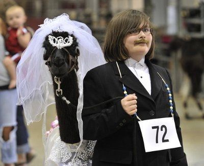 Let's put together a wedding!