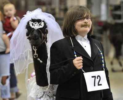 Let's put together a wedding!