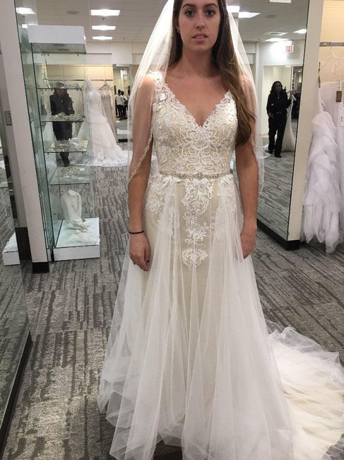 Wedding Dress Overlay 2