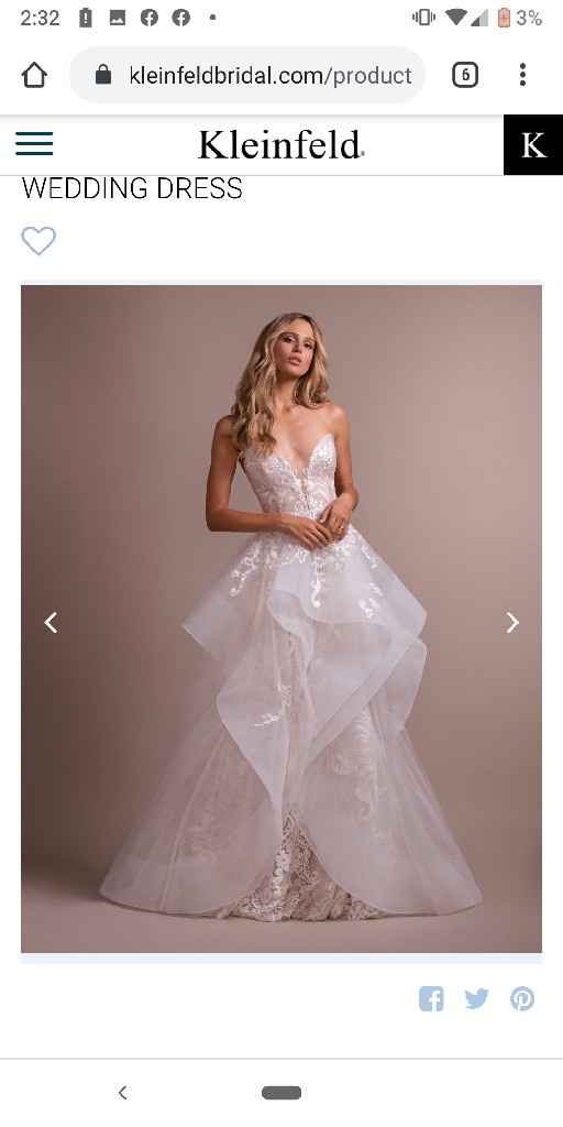 Wedding Dress Overlay - 1