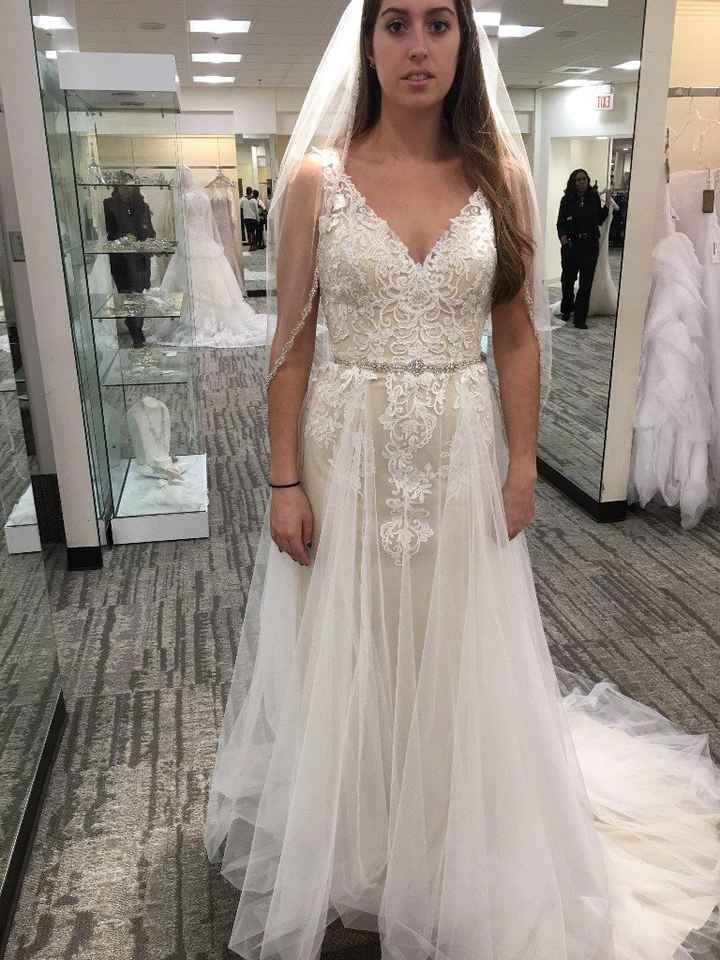 Wedding Dress Overlay - 2