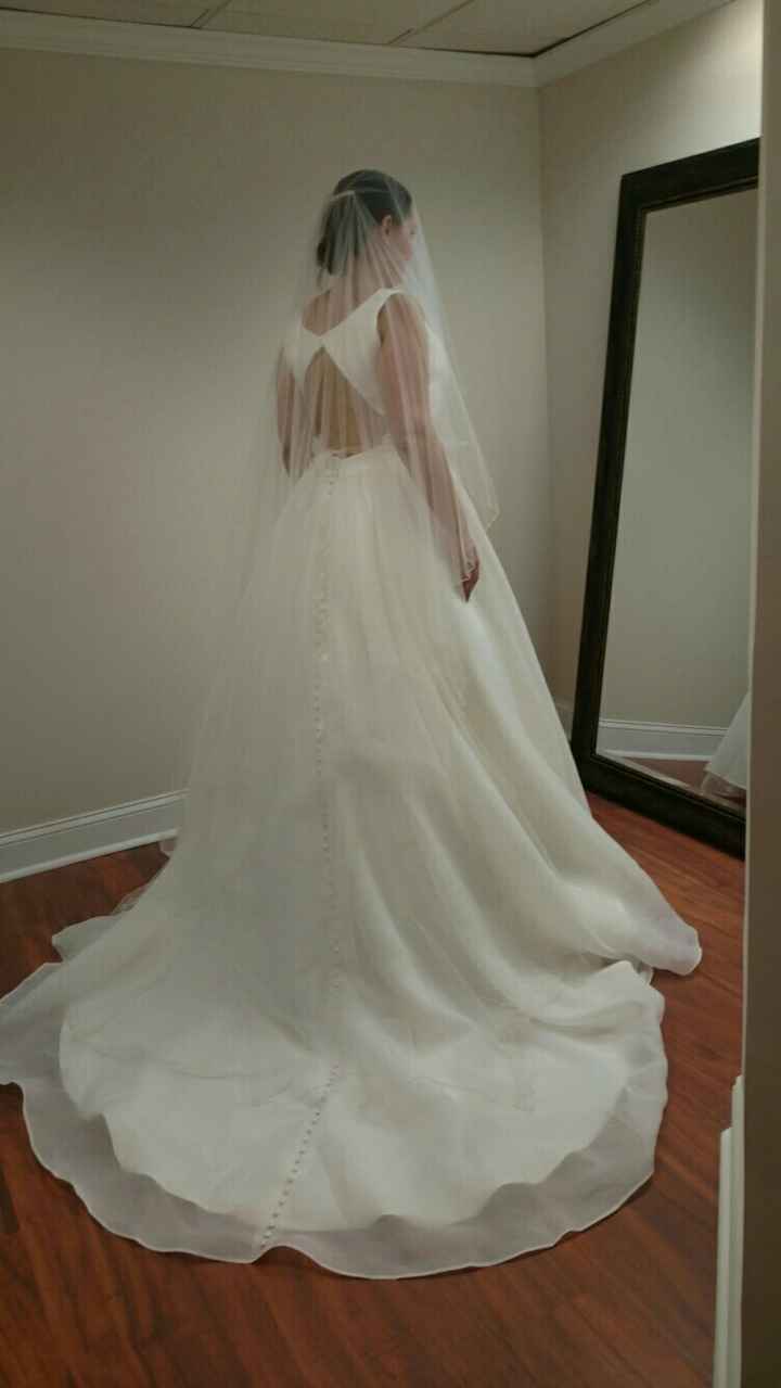 My dress came in!