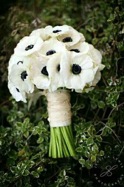 Baffled about Bridal Bouquet!