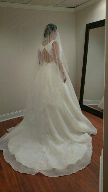 My dress came in!