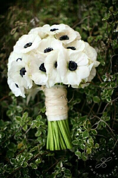 Baffled about Bridal Bouquet!