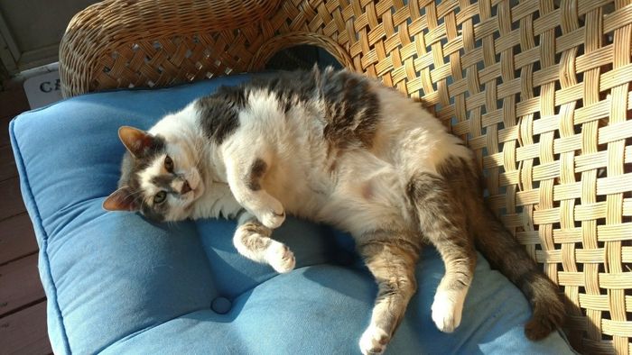 KWR-sharing some cuteness today.