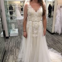Wedding Dress Overlay - 2