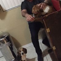 Help!!! Miami Wedding on a Budget