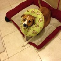 Help!!! Miami Wedding on a Budget