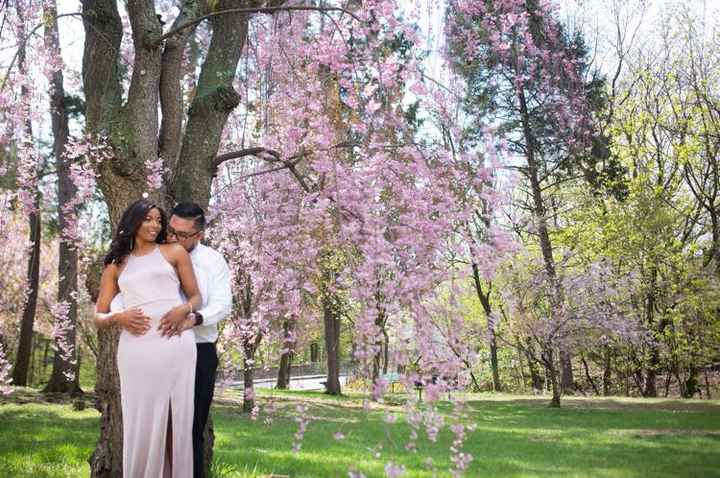 Engagement photos - 1