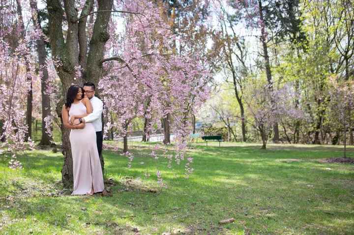 Engagement photos - 6