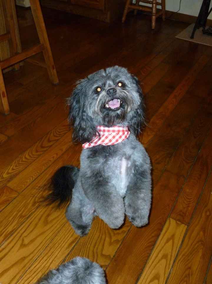 We've seen your rings, your dresses, your jewels.... show me your