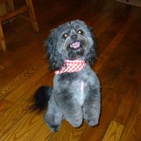 We've seen your rings, your dresses, your jewels.... show me your