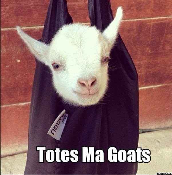 UPDATE IN COMMENTS: Bridesmaids Gifts: Which Would You Prefer?