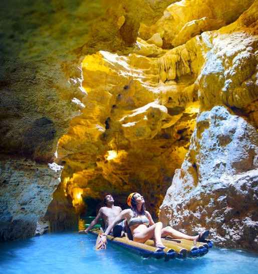 What excursions did you go on during your honeymoon/what excursions are you excited for?