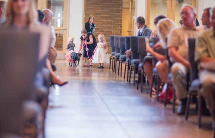 Super Heavy Pro BAM!