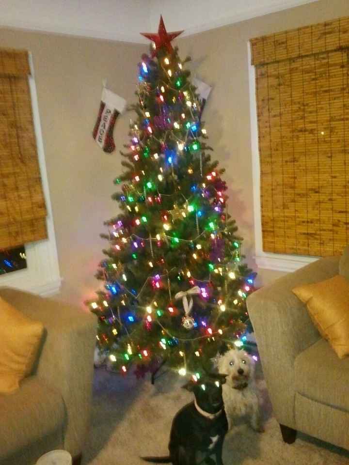 NWR: Show me your Christmas Trees, Hanukkah decor, or any other holiday stuff you put out!!