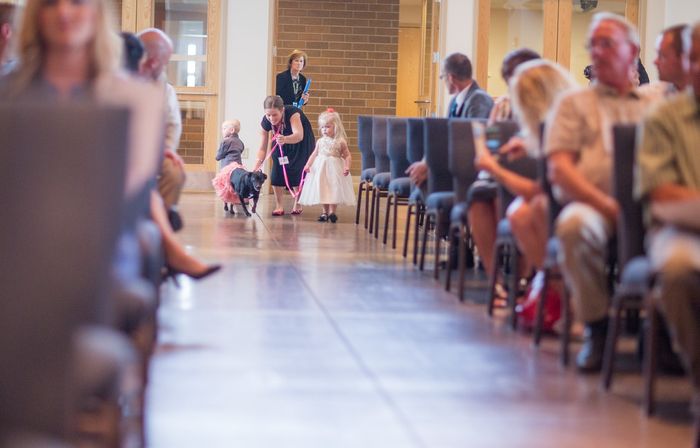 Super Heavy Pro BAM!