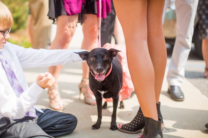 Super Heavy Pro BAM!