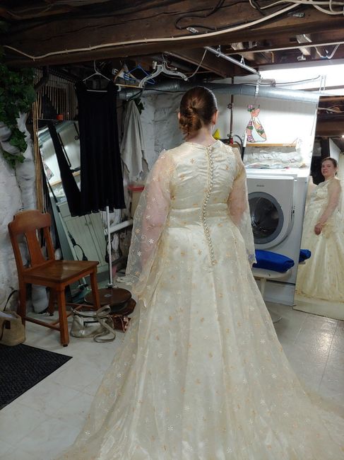 Any Long sleeved brides or brides to be out there? 6