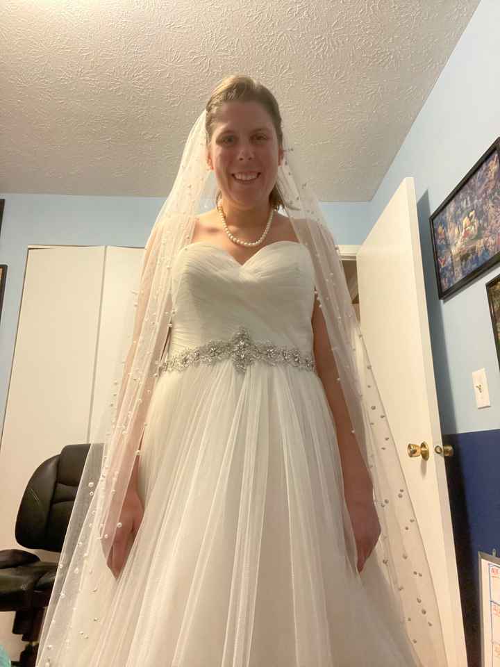 What type of veil will look good with my dress? - 1