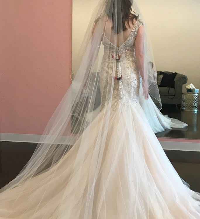 Train or No Train??? - 1