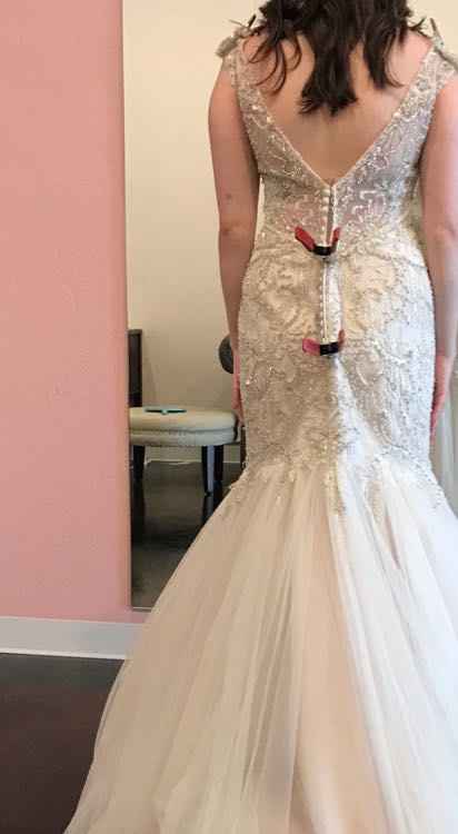 Train or No Train??? - 2