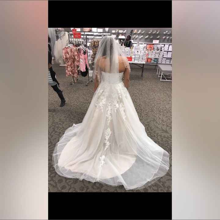 David's Bridal Brides! - 1