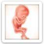 BR  Have you heard of Baby GaGa on Facebook