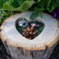Who’s getting married this week? (5/24/21-5/31/21) - 1