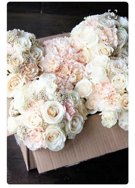 Decor Themes or Colors