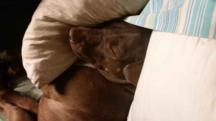 It's Fursday! Share the love!