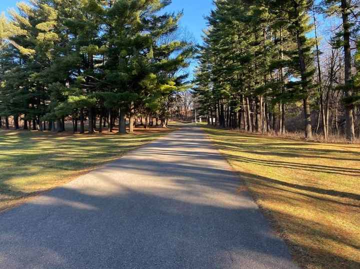 Planning for a intimate small wedding... but how to tell your large family they’re not invited - 6