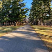 Planning for a intimate small wedding... but how to tell your large family they’re not invited - 6