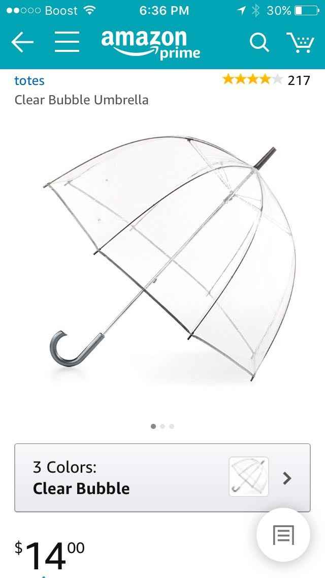 The Perfect Clear Umbrella