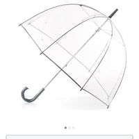 The Perfect Clear Umbrella