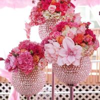 Are these not adorable? - 1