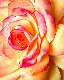 DIY Flowers