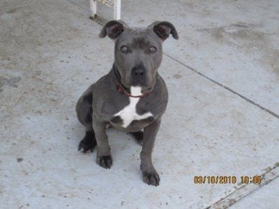 *NWR* Post pics of your furry (or not so furry) kids!