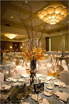 Wedding Wire Moderators: Photos?