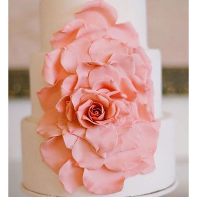 What are you paying for your cake?