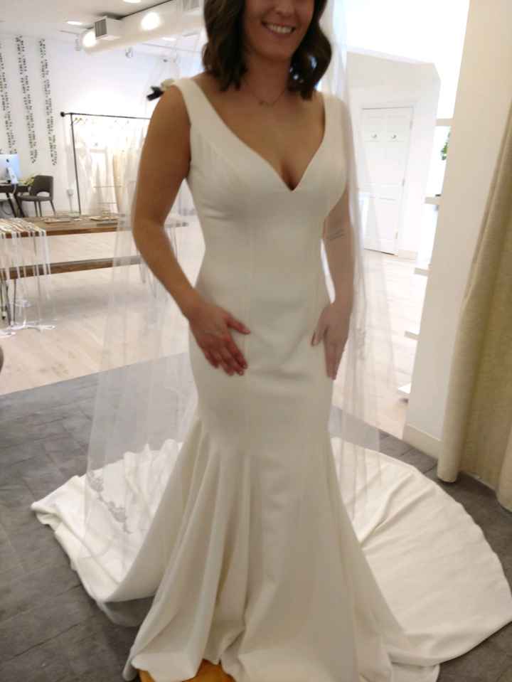 Dress Sleeves or lace overlay bodice? Help?! - 1