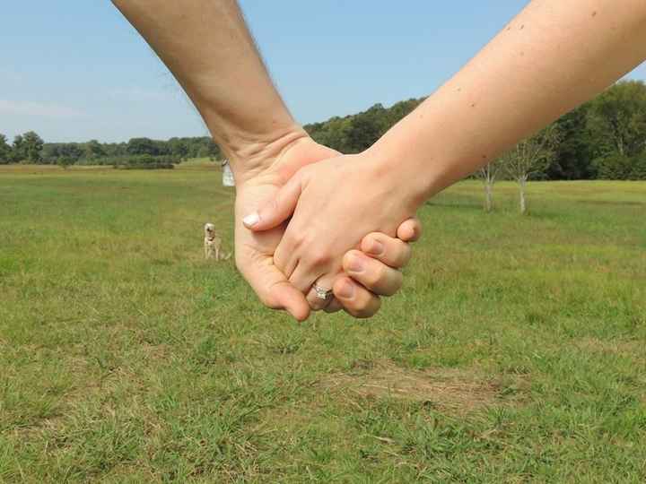 Pets in the STDs